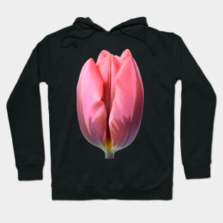 Tulipa &#39;Pretty Princess&#39; Triumph Group Tulip Hoodie